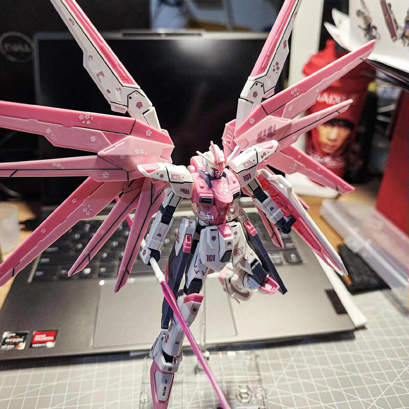 Zestaw do składania modelu HG  – Model Kit Hg recenzja i cena
